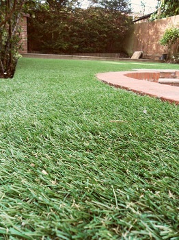 Artificial Lawn